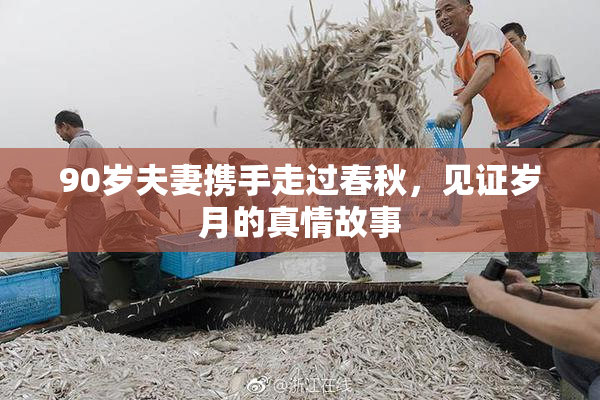 90岁夫妻携手走过春秋，见证岁月的真情故事