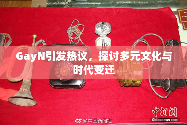 GayN引发热议，探讨多元文化与时代变迁
