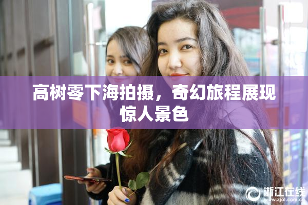 高树零下海拍摄，奇幻旅程展现惊人景色