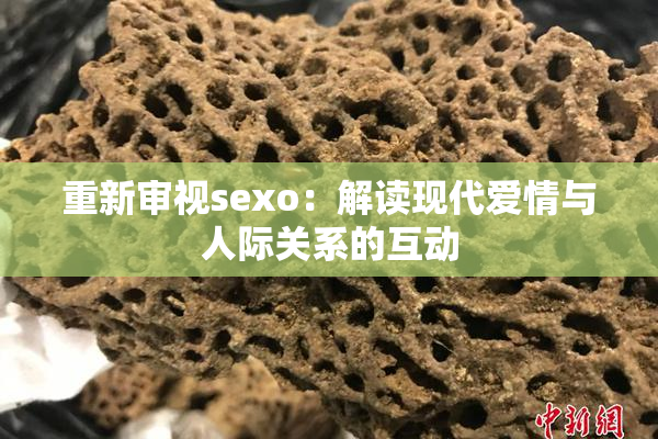 重新审视sexo：解读现代爱情与人际关系的互动
