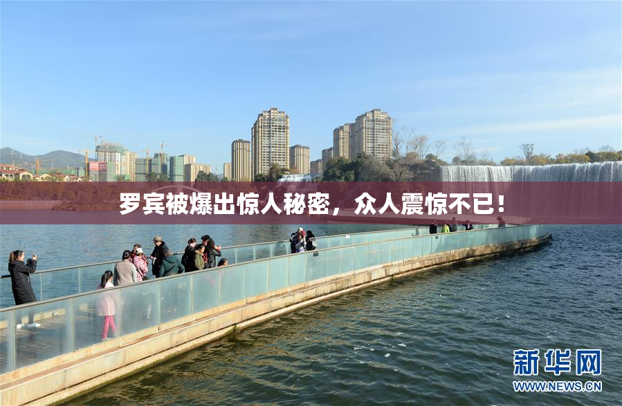 罗宾被爆出惊人秘密，众人震惊不已！