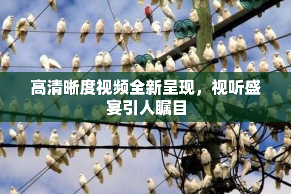 高清晰度视频全新呈现，视听盛宴引人瞩目