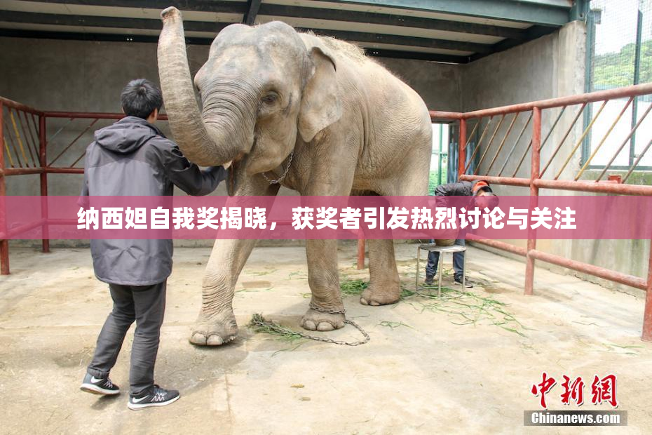 纳西妲自我奖揭晓，获奖者引发热烈讨论与关注