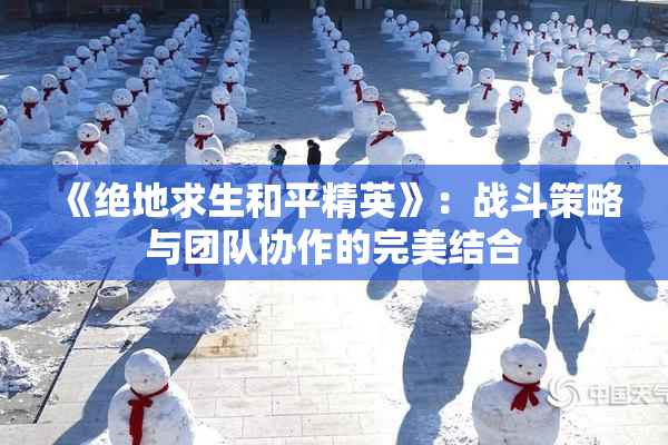 《绝地求生和平精英》：战斗策略与团队协作的完美结合