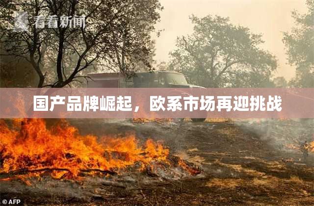 国产品牌崛起，欧系市场再迎挑战