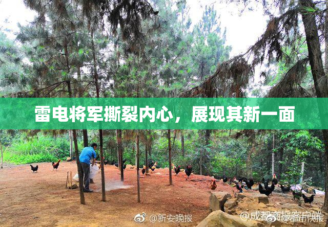 雷电将军撕裂内心，展现其新一面