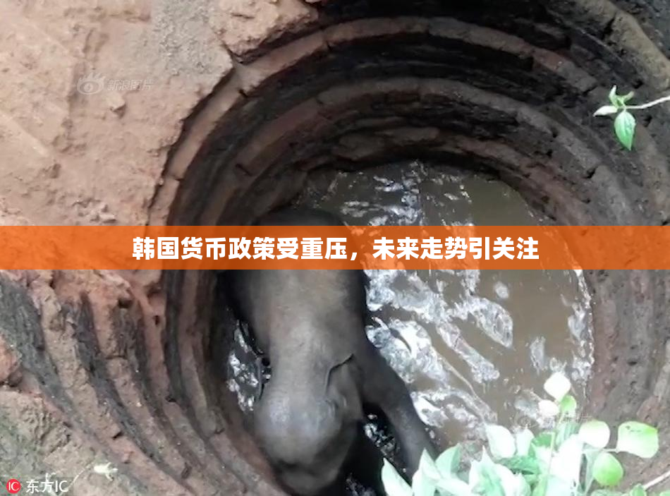 韩国货币政策受重压，未来走势引关注