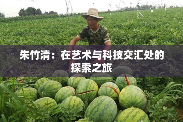 朱竹清：在艺术与科技交汇处的探索之旅