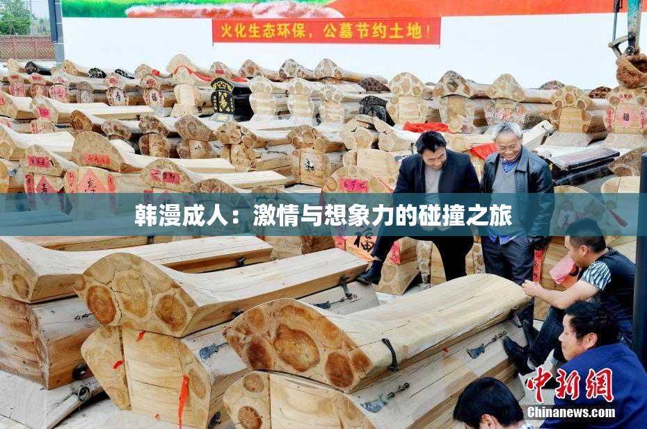 韩漫成人：激情与想象力的碰撞之旅