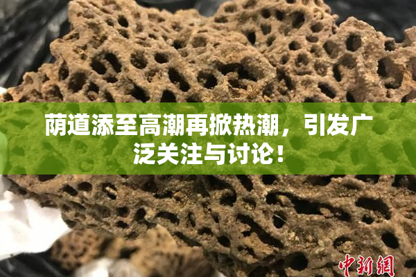 荫道添至高潮再掀热潮，引发广泛关注与讨论！