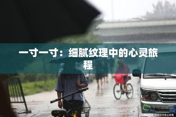 一寸一寸：细腻纹理中的心灵旅程