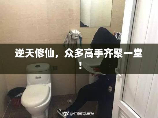 逆天修仙，众多高手齐聚一堂！