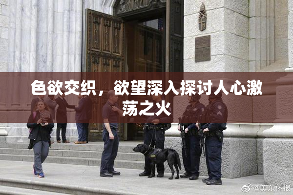 色欲交织，欲望深入探讨人心激荡之火