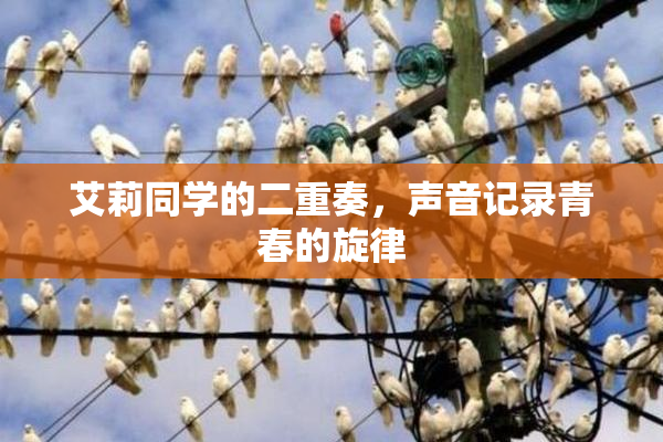 艾莉同学的二重奏，声音记录青春的旋律