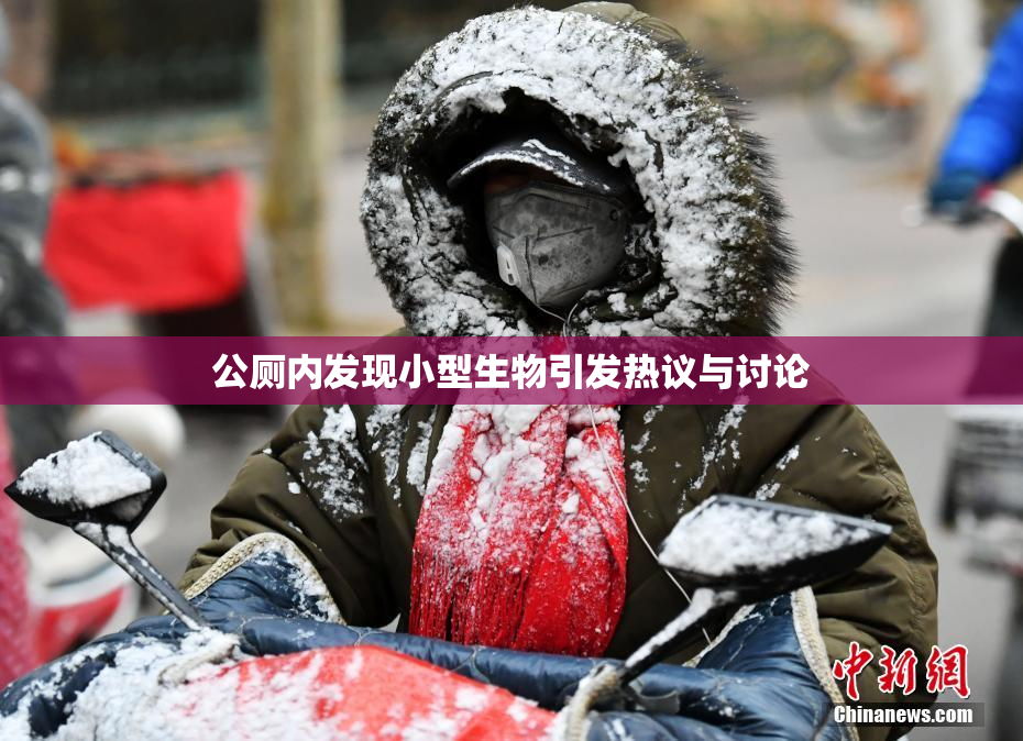 公厕内发现小型生物引发热议与讨论