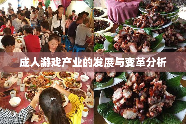 成人游戏产业的发展与变革分析