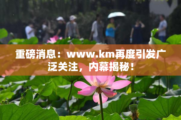 重磅消息：www.km再度引发广泛关注，内幕揭秘！