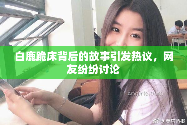 白鹿跪床背后的故事引发热议，网友纷纷讨论