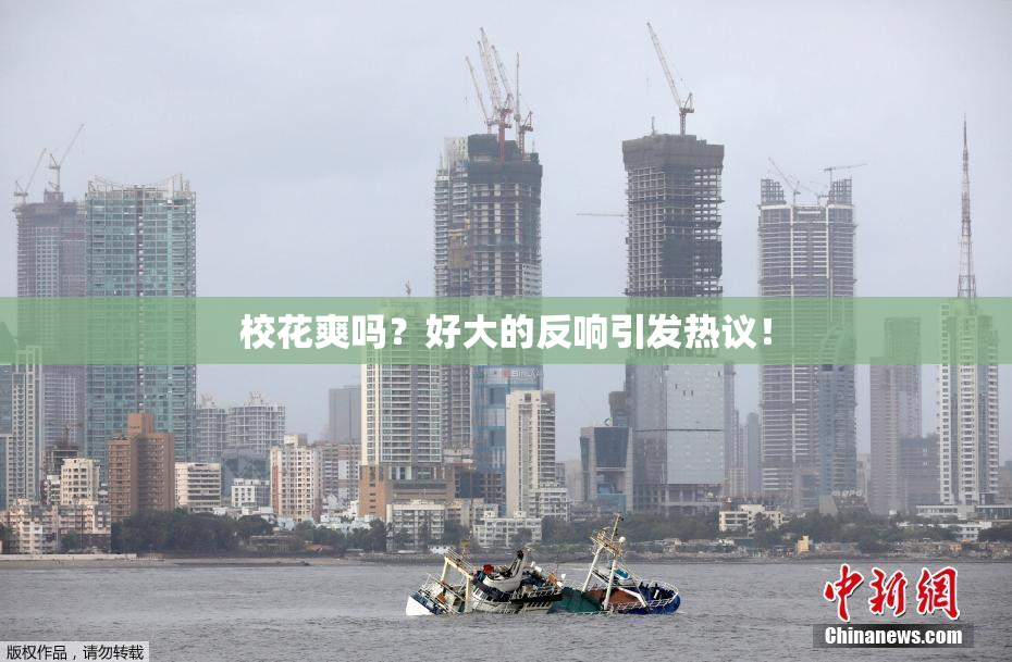 校花爽吗？好大的反响引发热议！