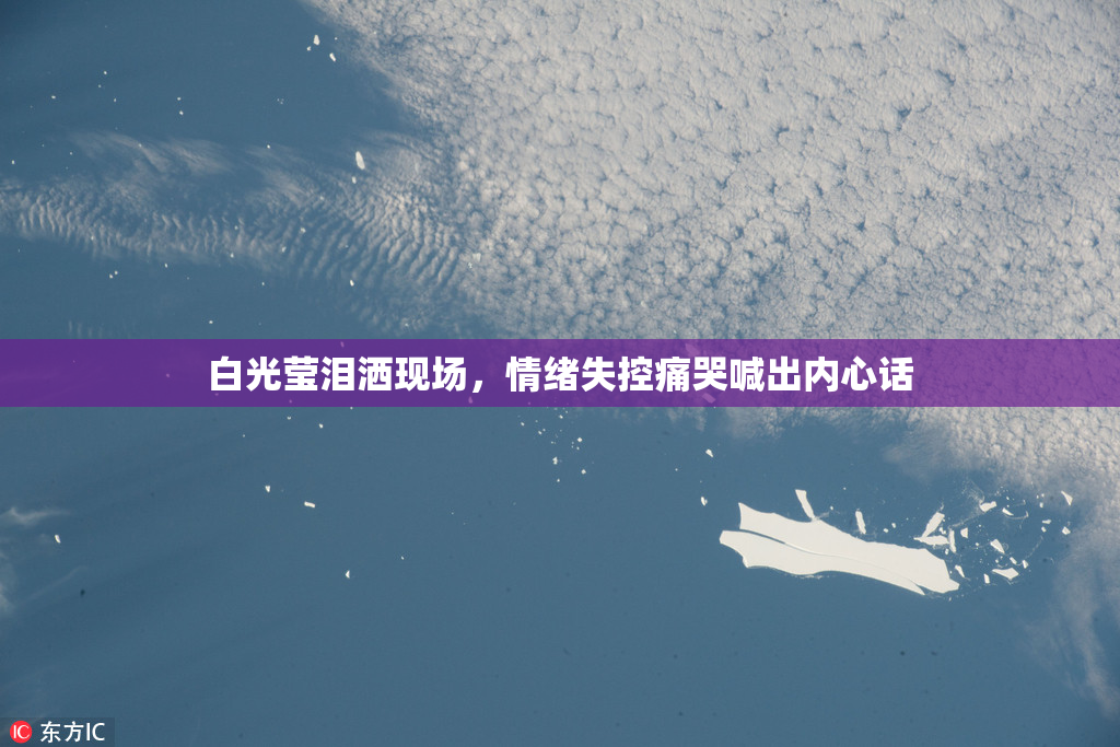 白光莹泪洒现场，情绪失控痛哭喊出内心话