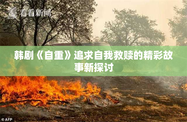 韩剧《自重》追求自我救赎的精彩故事新探讨