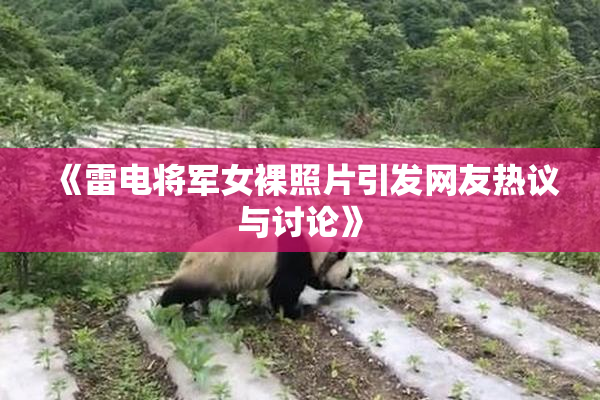 《雷电将军女裸照片引发网友热议与讨论》