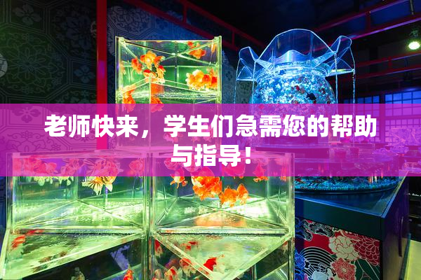 老师快来，学生们急需您的帮助与指导！