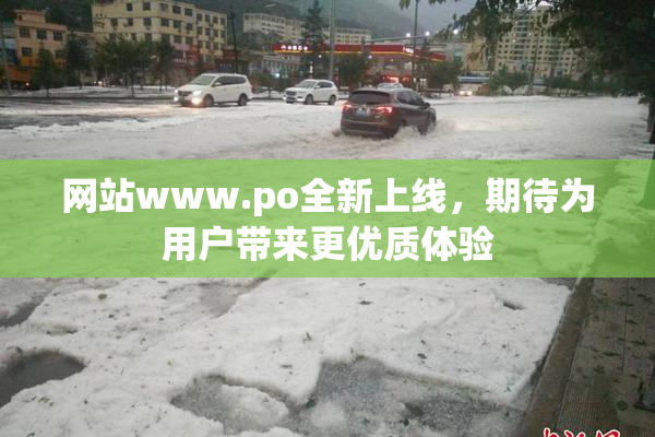 网站www.ро全新上线，期待为用户带来更优质体验