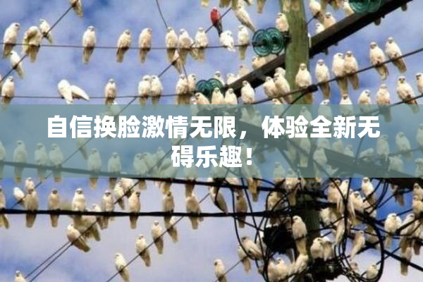 自信换脸激情无限，体验全新无碍乐趣！