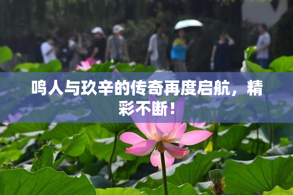 鸣人与玖辛的传奇再度启航，精彩不断！