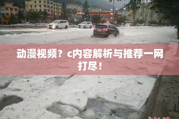 动漫视频？c内容解析与推荐一网打尽！