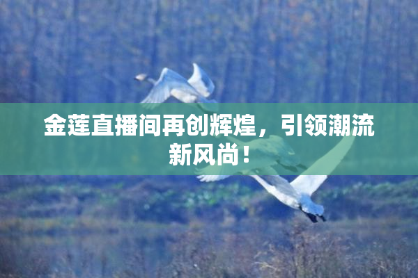 金莲直播间再创辉煌，引领潮流新风尚！