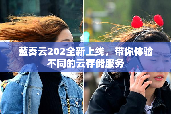 蓝奏云202全新上线，带你体验不同的云存储服务