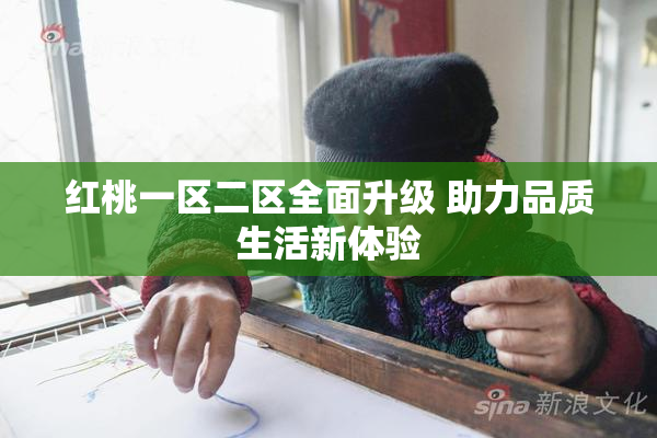 红桃一区二区全面升级 助力品质生活新体验