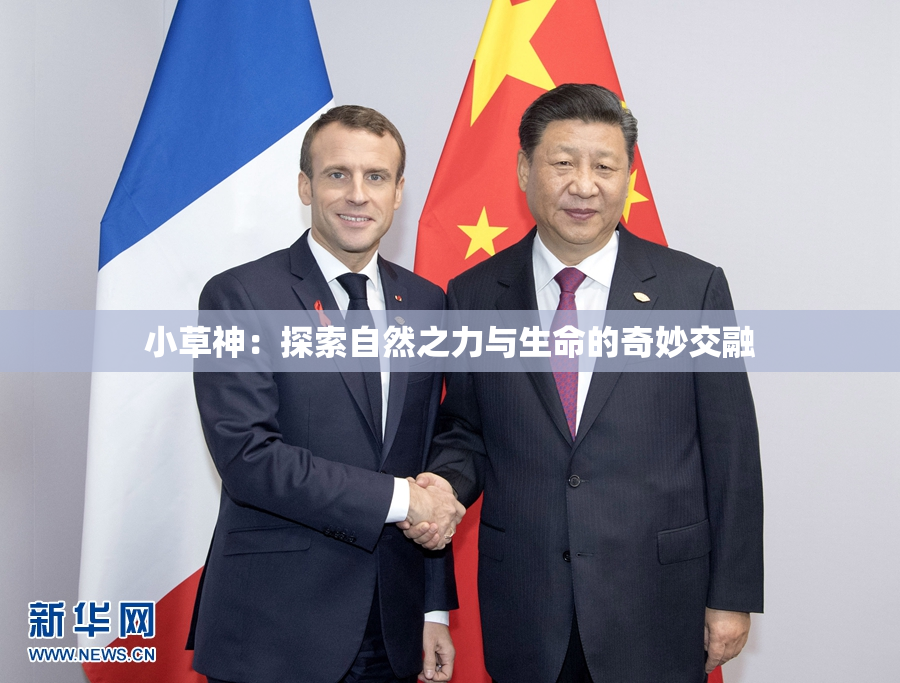 小草神：探索自然之力与生命的奇妙交融