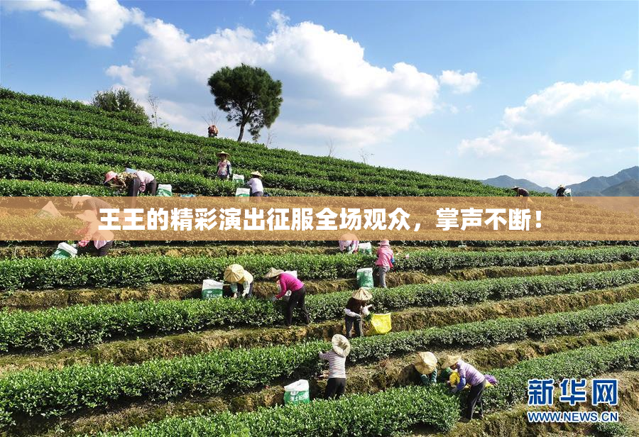 王王的精彩演出征服全场观众，掌声不断！