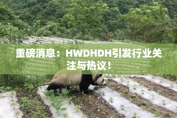 重磅消息：HWDHDH引发行业关注与热议！