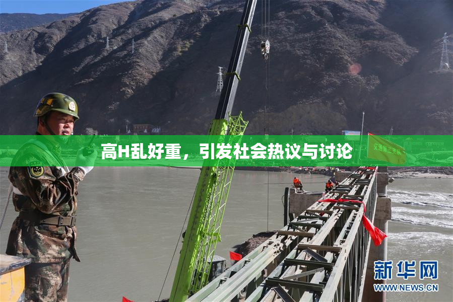 高H乱好重，引发社会热议与讨论
