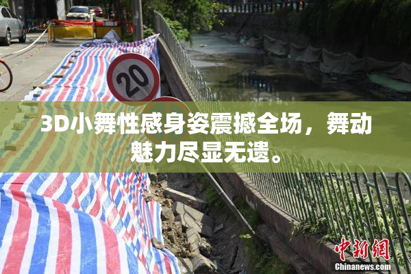 3D小舞性感身姿震撼全场，舞动魅力尽显无遗。