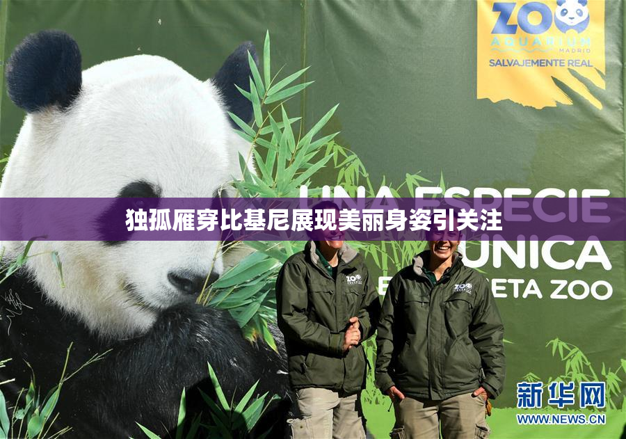 独孤雁穿比基尼展现美丽身姿引关注