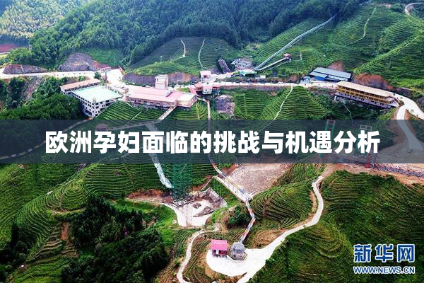 欧洲孕妇面临的挑战与机遇分析