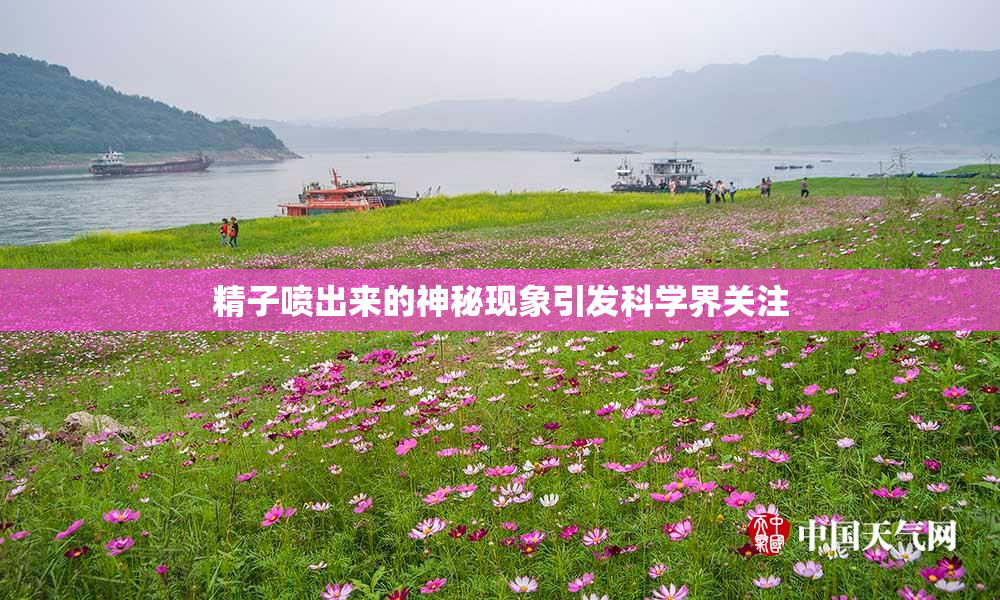 精子喷出来的神秘现象引发科学界关注