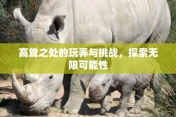 高耸之处的玩弄与挑战，探索无限可能性