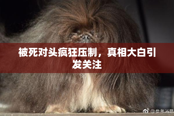 被死对头疯狂压制，真相大白引发关注