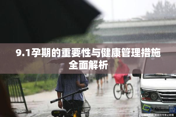 9.1孕期的重要性与健康管理措施全面解析