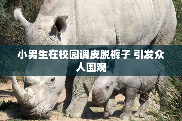 小男生在校园调皮脱裤子 引发众人围观