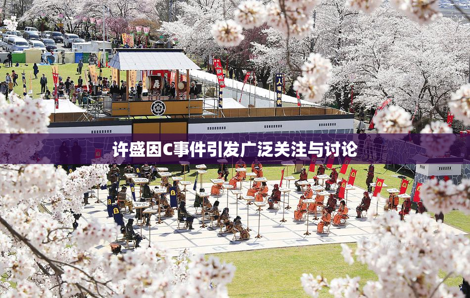 许盛因C事件引发广泛关注与讨论