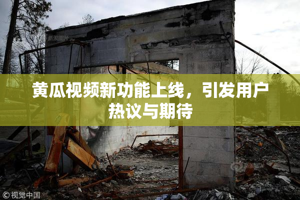 黄瓜视频新功能上线，引发用户热议与期待