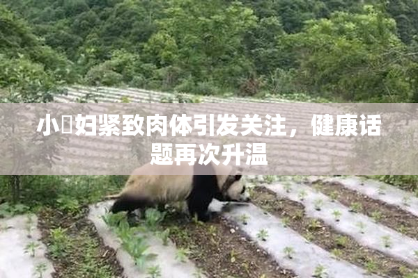 小婬妇紧致肉体引发关注，健康话题再次升温