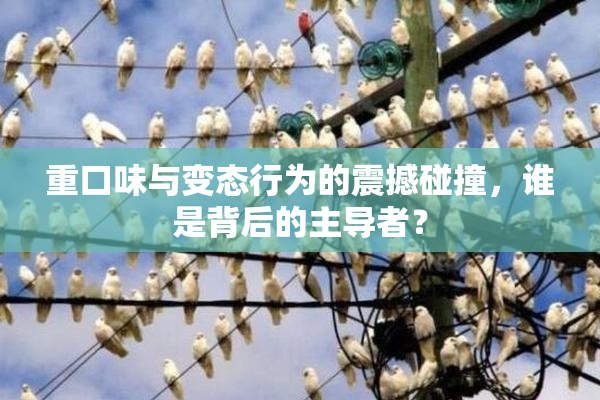 重口味与变态行为的震撼碰撞，谁是背后的主导者？